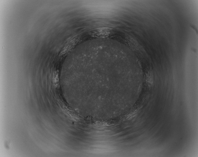 X0000102350818200808221652