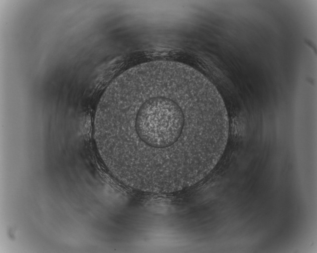 X0000102350820200808221652