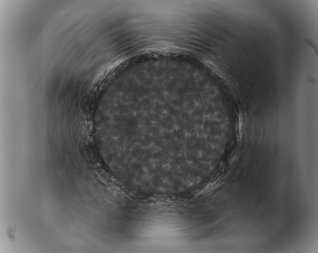 X0000102350822200808221652