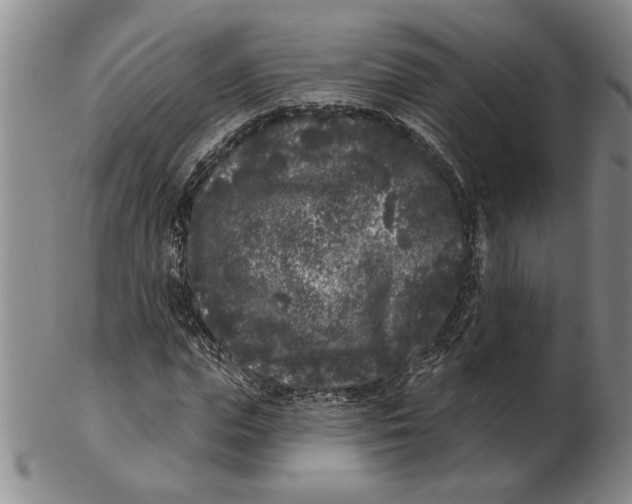 X0000102350823200808221652