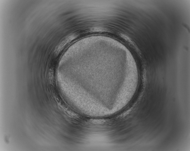 X0000102350825200808221652