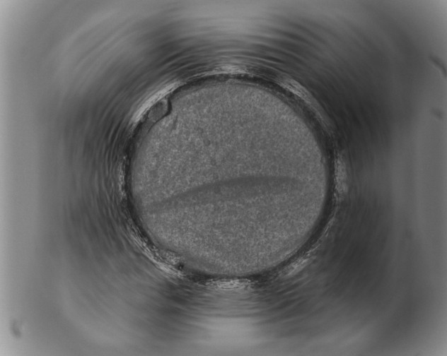 X0000102350826200808221652