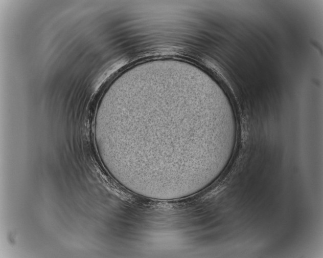 X0000102350827200808221652