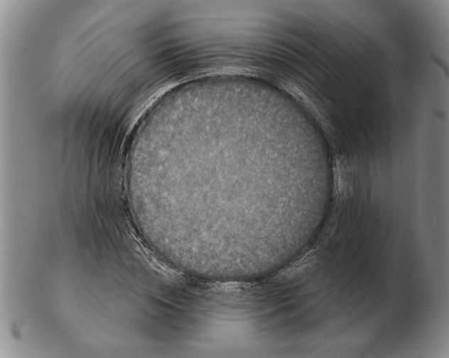 X0000102350828200808221652