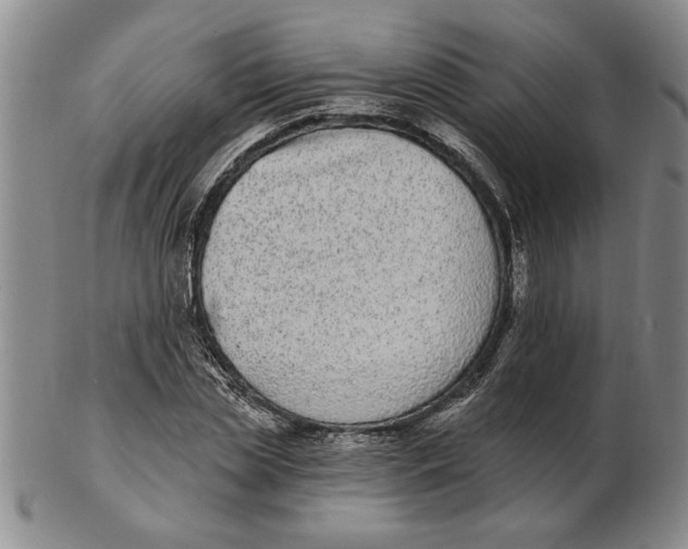 X0000102350829200808221652