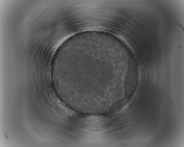 X0000102350830200808221652