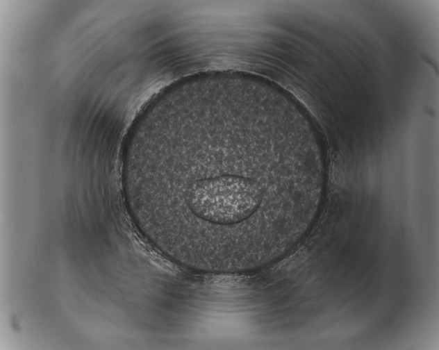 X0000102350832200808221652