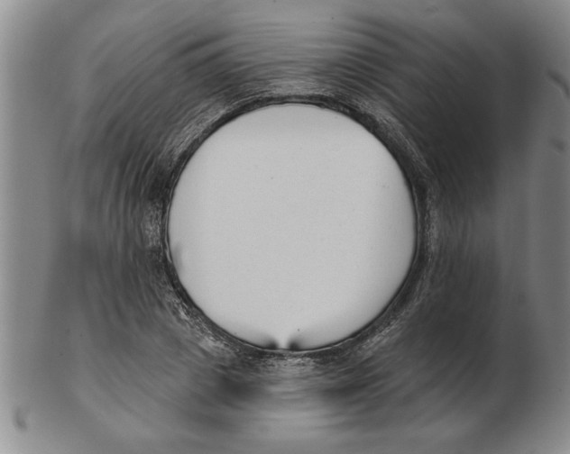 X0000102350833200808221652