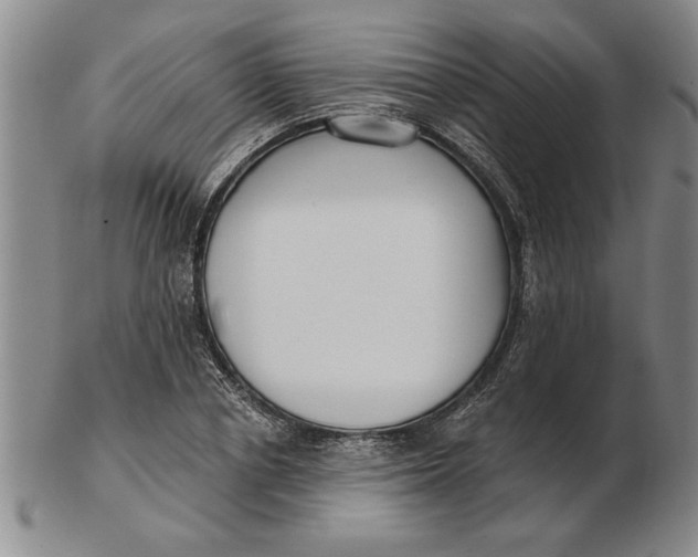 X0000102350834200808221652