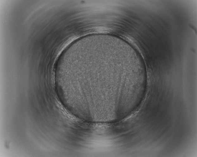 X0000102350835200808221652