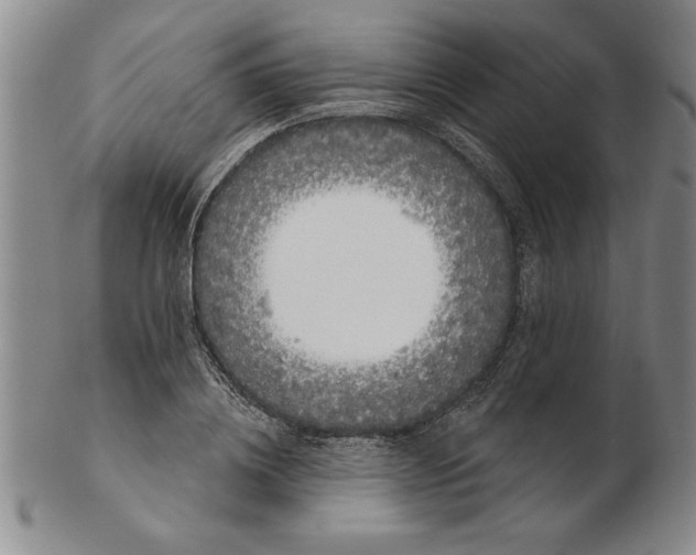 X0000102350836200808221652