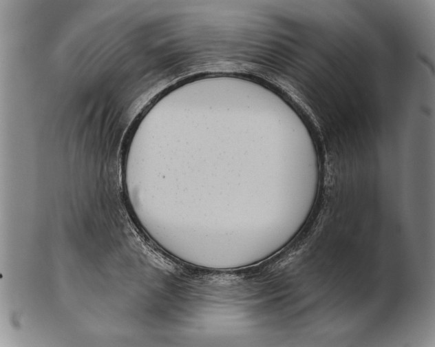 X0000102350837200808221652