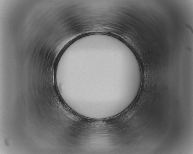 X0000102350838200808221652