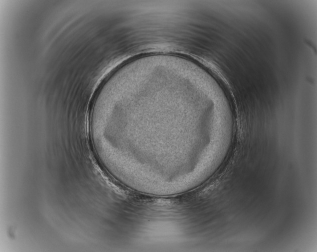 X0000102350839200808221652