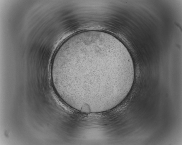 X0000102350840200808221652