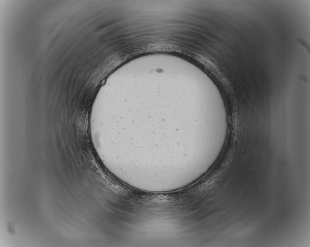 X0000102350841200808221652