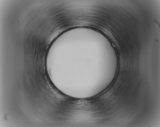 X0000102350842200808221652