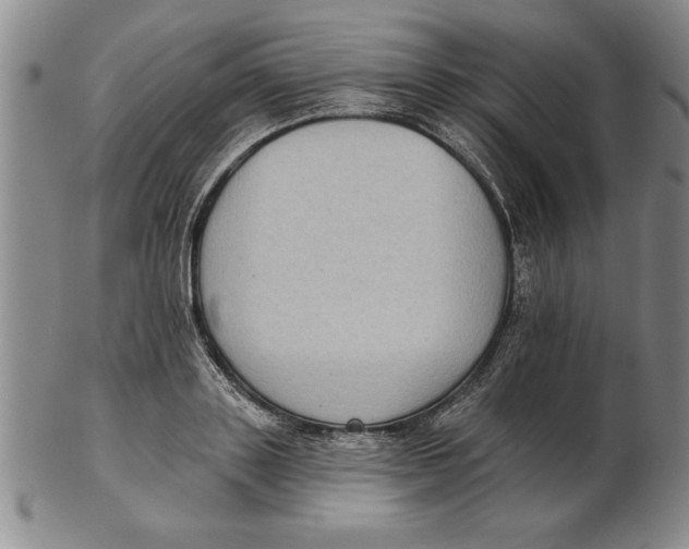 X0000102350843200808221652