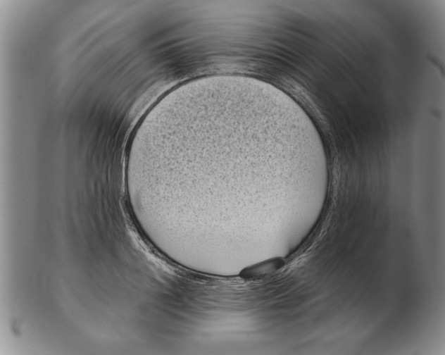 X0000102350844200808221652