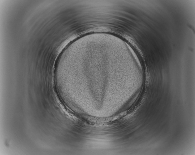 X0000102350845200808221652