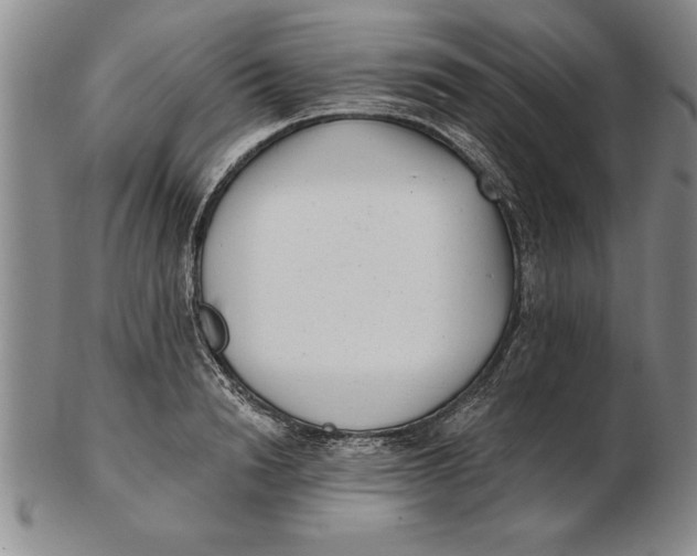 X0000102350846200808221652