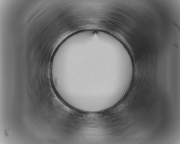 X0000102350847200808221652