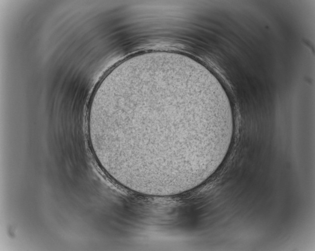 X0000102350848200808221652