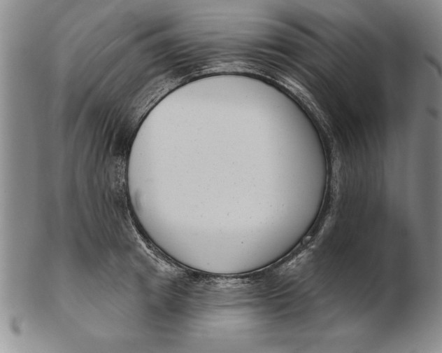 X0000102350849200808221652