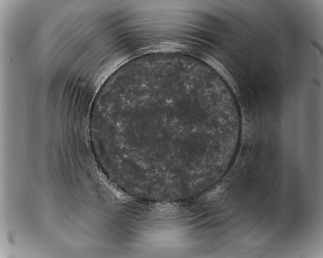 X0000102350850200808221652