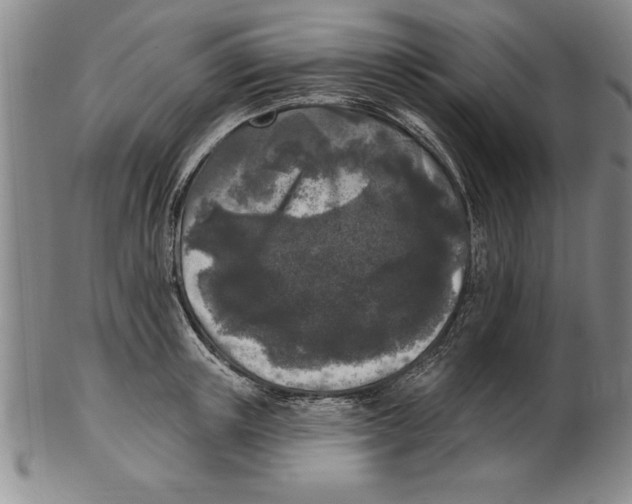 X0000102350851200808221652