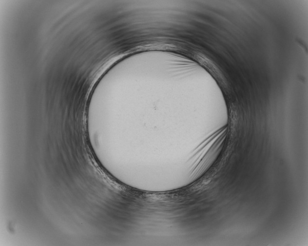 X0000102350852200808221652