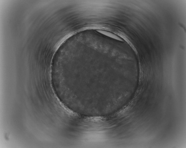 X0000102350853200808221652