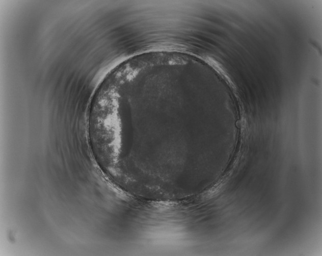 X0000102350854200808221652