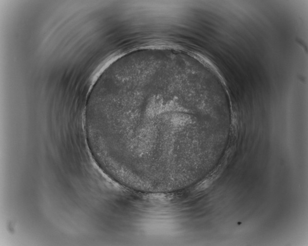 X0000102350855200808221652