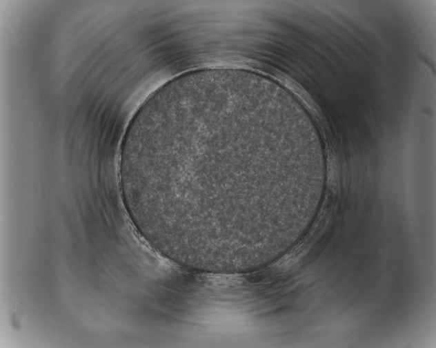 X0000102350856200808221652