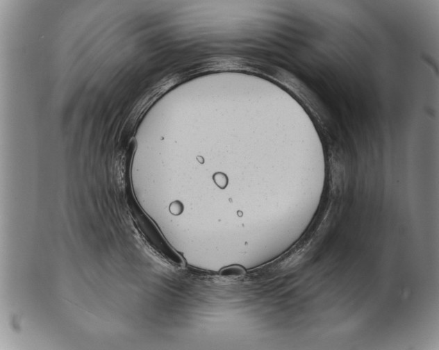 X0000102350857200808221652