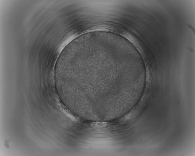 X0000102350858200808221652