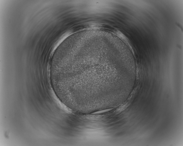 X0000102350859200808221652