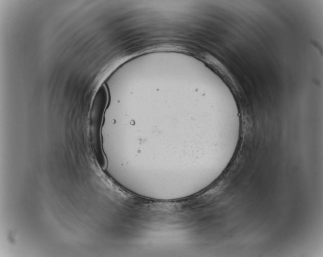 X0000102350860200808221652