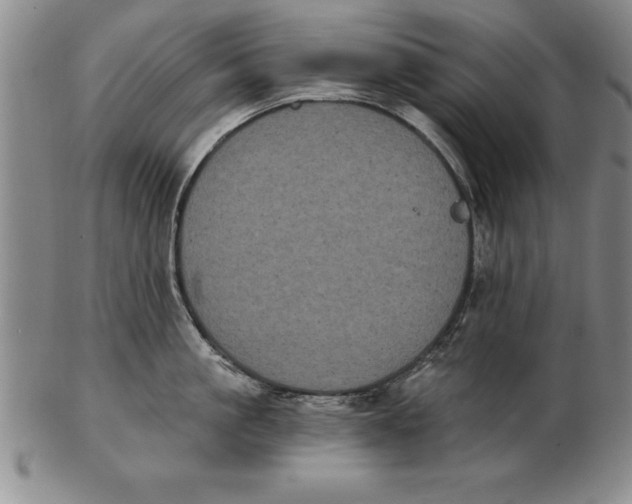 X0000102350861200808221652