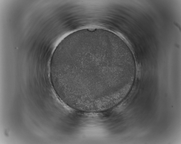 X0000102350862200808221652