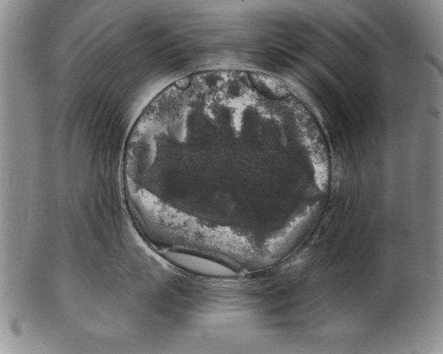 X0000102350863200808221652