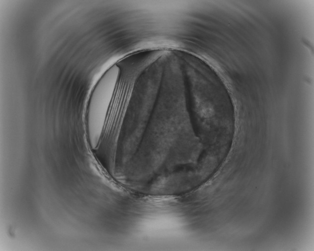 X0000102350864200808221652