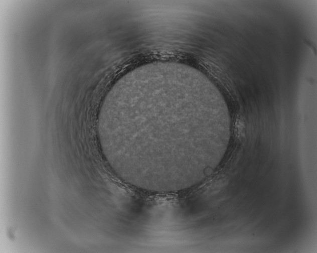 X0000102350865200808221651