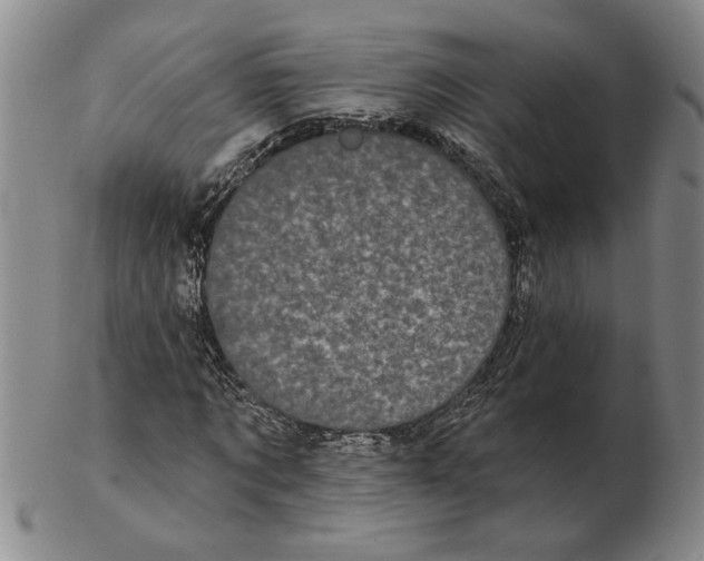 X0000102350869200808221651