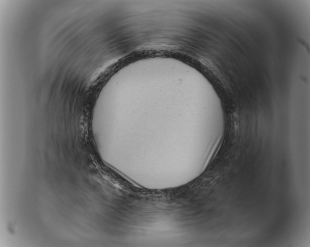 X0000102350872200808221651