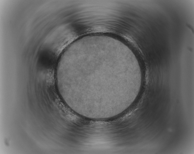 X0000102350873200808221651