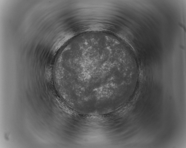 X0000102350874200808221651