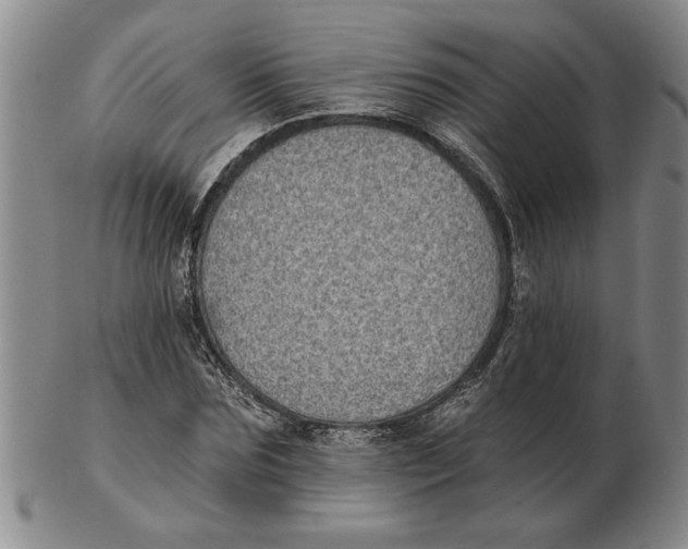 X0000102350875200808221651