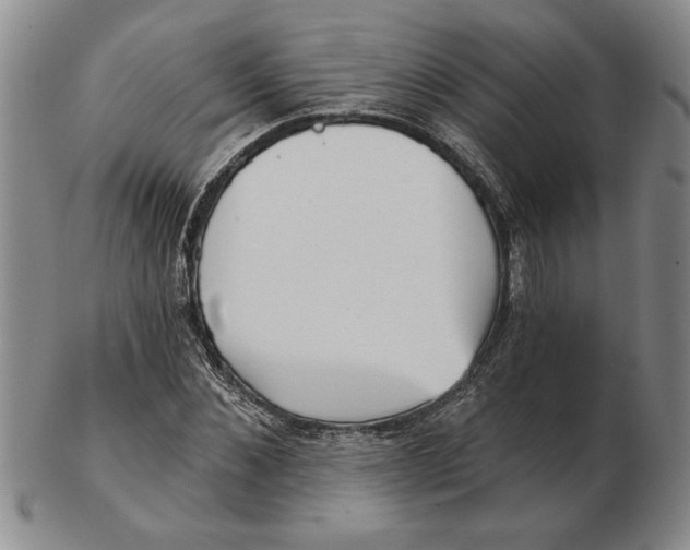 X0000102350876200808221651